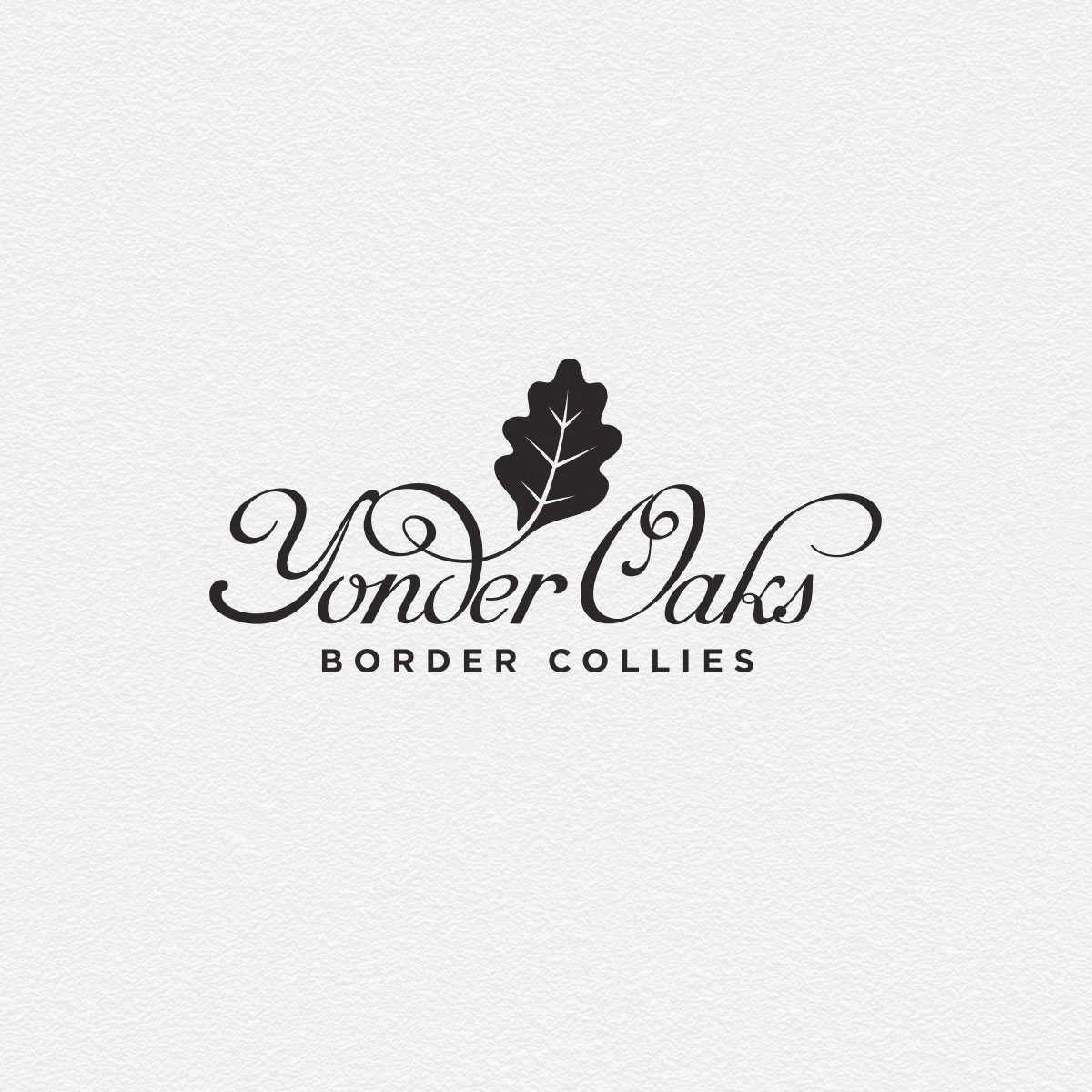 YonderOaks Border Collies